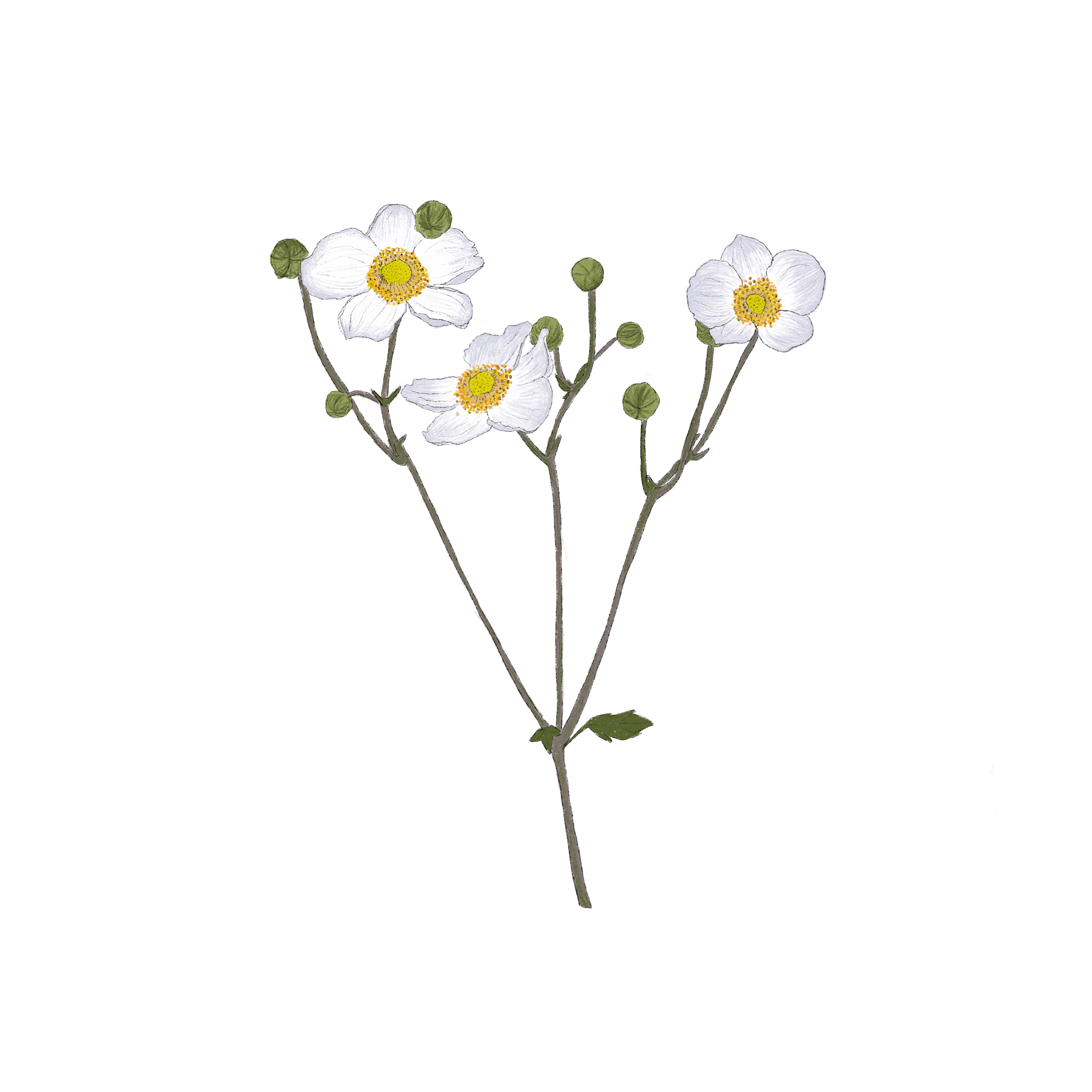 Blütentraum in Weiß-Blau-Burgunder