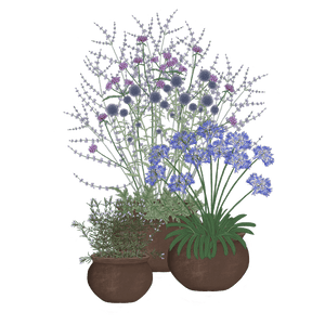 Bienenparadies in fünf Violett-Tönen