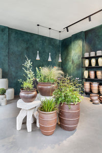 Neues Ladenlokal in Charlottenburg