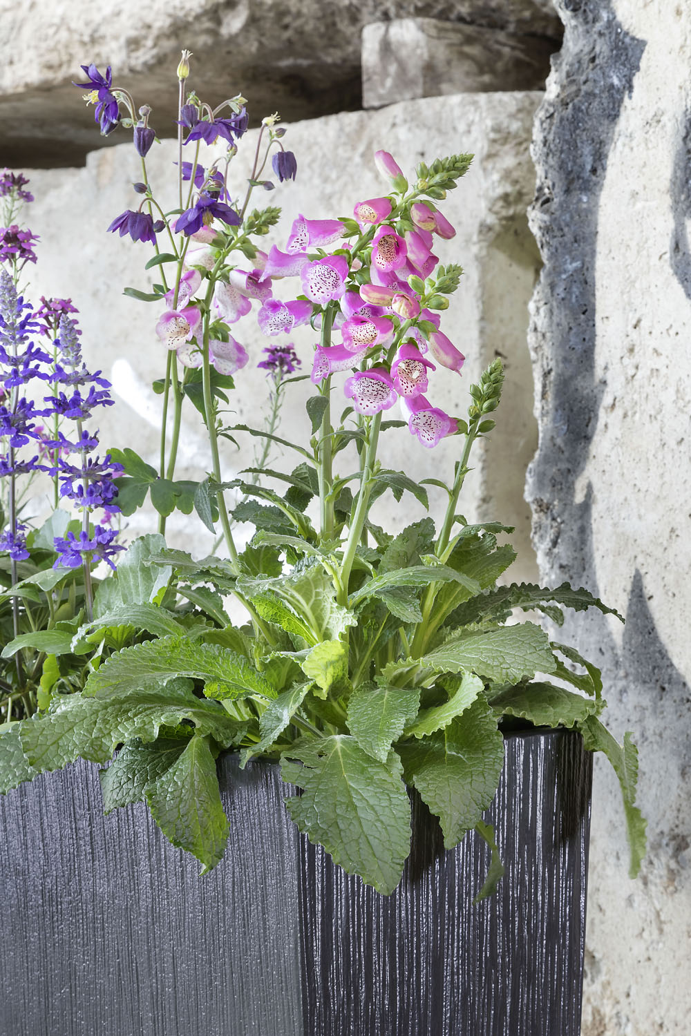 Mini-Hochbeet "Tratteggio"