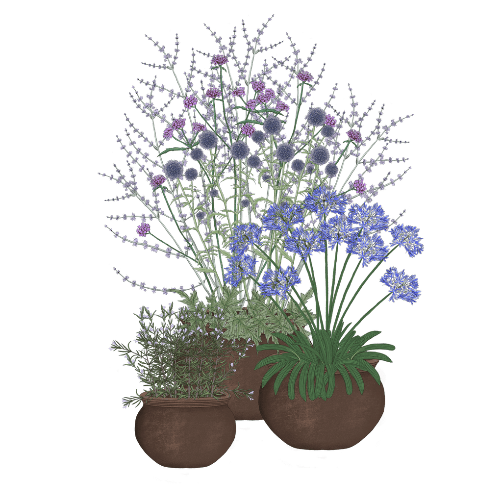 Bienenparadies in fünf Violett-Tönen