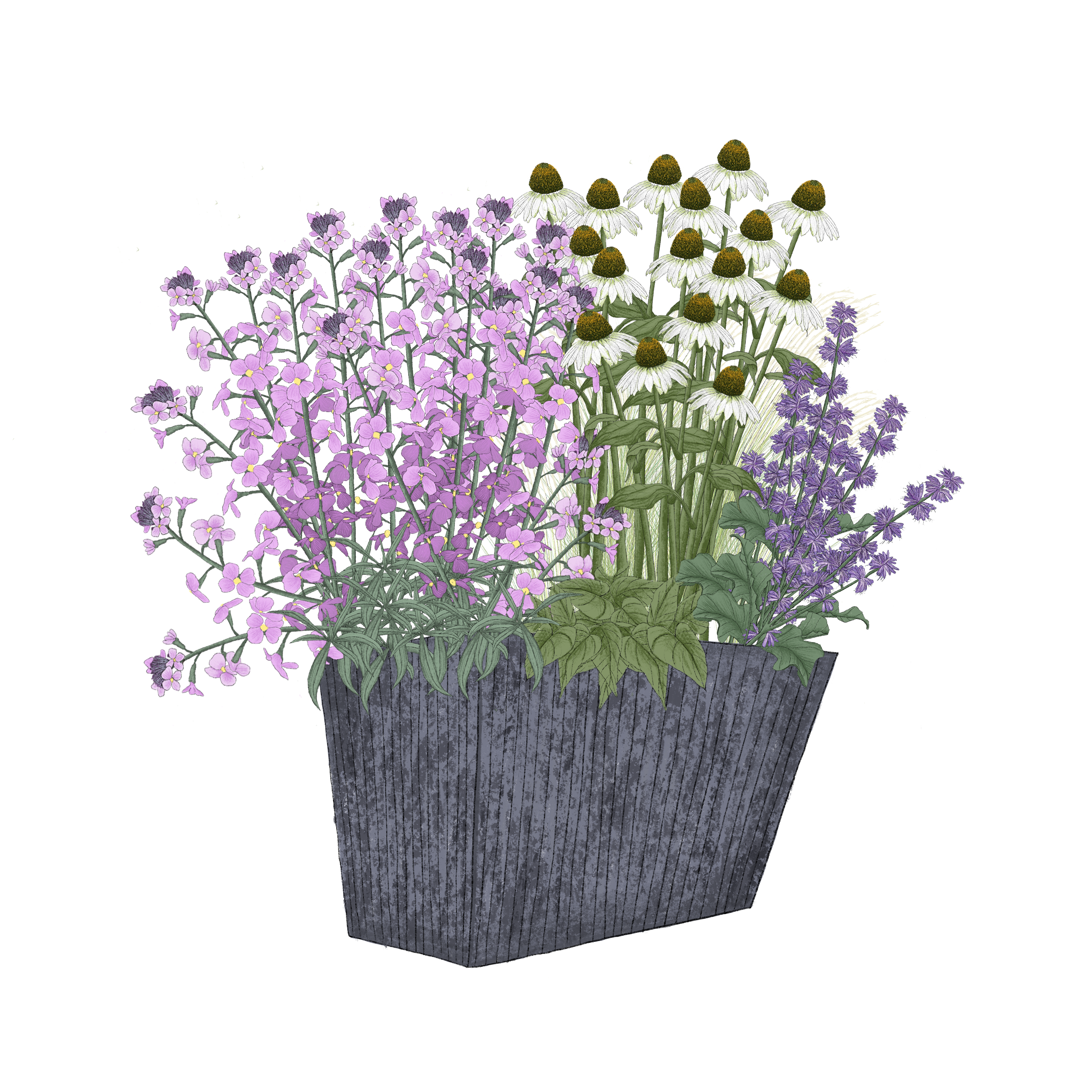 Sommerwiese in Pink-Purpur-Weiss