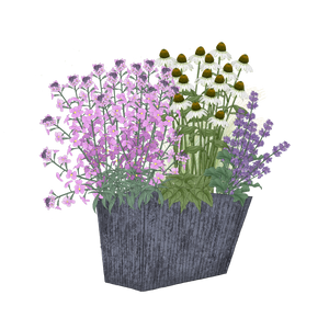 Sommerwiese in Pink-Purpur-Weiss